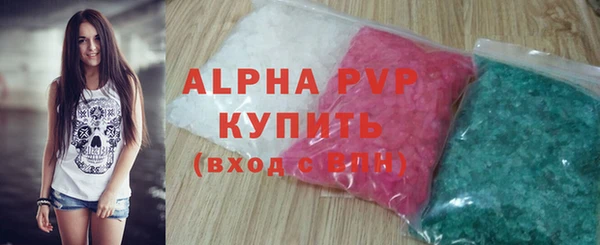 хмурый Абаза