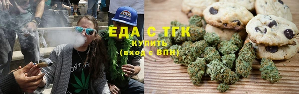 хмурый Абаза