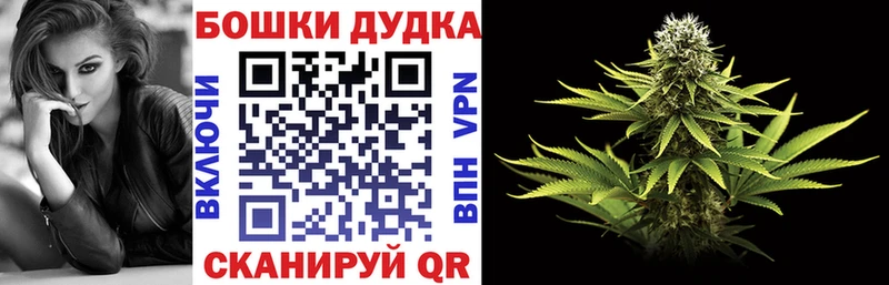 Шишки марихуана Amnesia  наркотики  Починок 